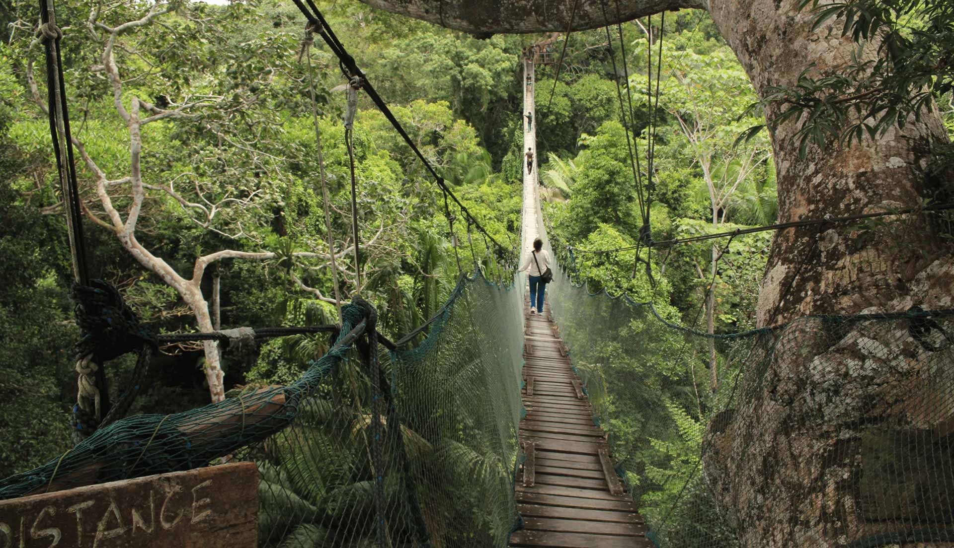 Sistema de Puentes Colgantes
