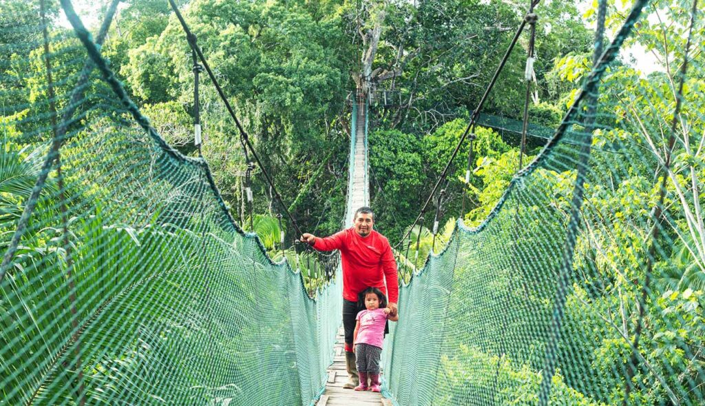 Suspension Bridge System