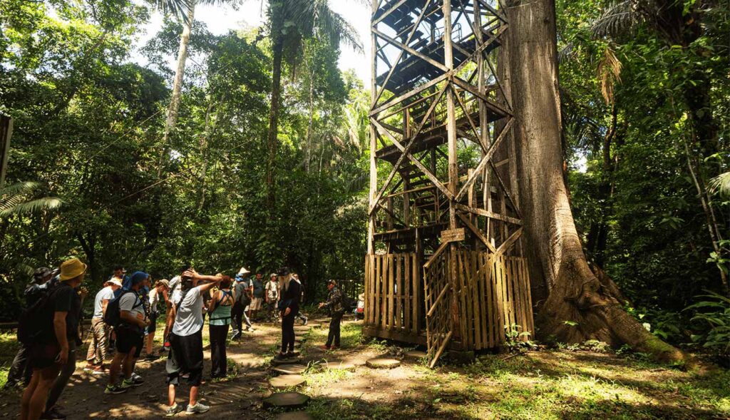 Suspension Bridge System