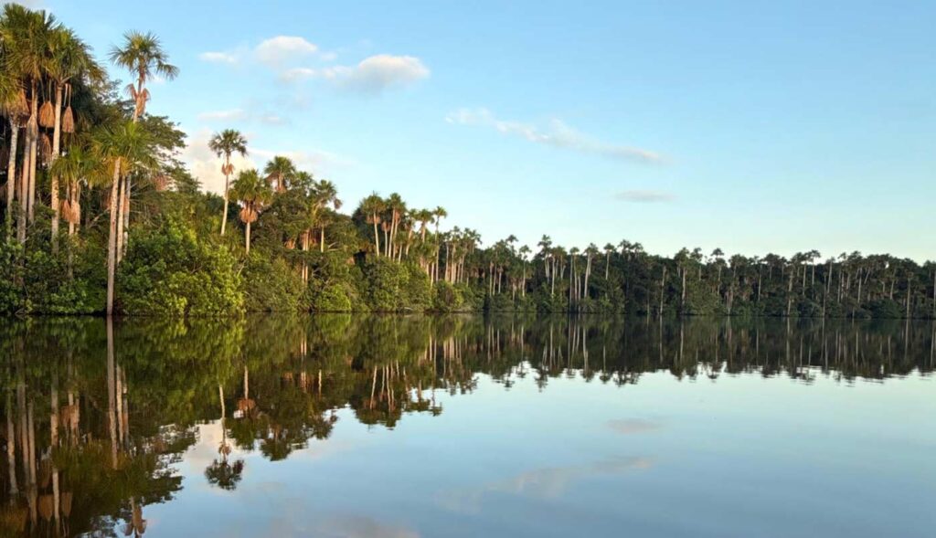 Lago Sandoval